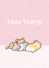 1corgi colors -Pink-