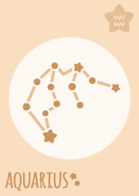 Aquarius Sign'Orange'