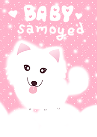 Baby Samoyed :)