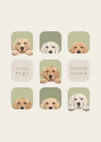 DOGS - Golden retriever - LEAF GREEN