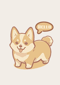 Super cute corgi dog 3