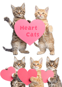 にゃんとも！好きしか勝たん！ハート子猫