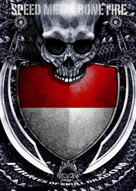 Pirates of skull dragon Land of emerald