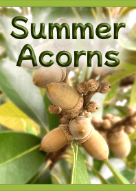 ธีม Summer Acorns (สีเขียว)