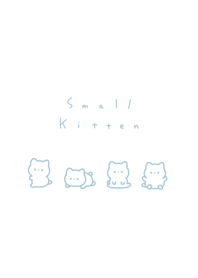 small kitten/aqua wh