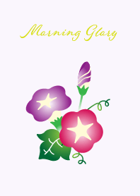 cute morning glory on purple