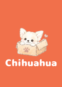 Sketch Chihuahua Red 05