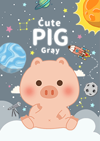misty cat-cute pig Galaxy gray