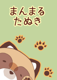 まんまるたぬき