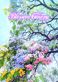Blossom Canopy