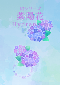 Japanese Series -Hydrangea-