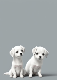 犬の背景  3F1406