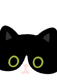 Tuxedo cat and Black cat1