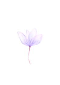 おとな かわいい 水彩 Flower 3/Purple