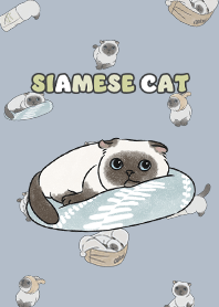 siamesecat7 / slate blue