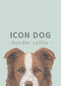 ICON DOG - Border Collie - PASTEL GR/04