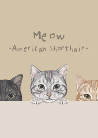 Meow - American Shorthair - DUSTY BEIGE