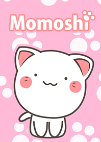 Lucu kucing Momoshi