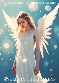 Celestial Angels of Fortune 08