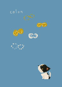 A Chihuahua, named Colon