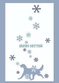 IRISH SETTER AND SNOW