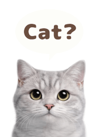 British Shorthair Simples 3 B/W 03
