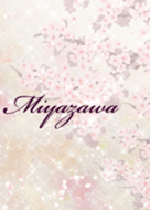 Miyazawa Sakura Beautiful