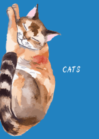 blue 眠る猫