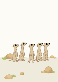cute sneaky Meerkat6