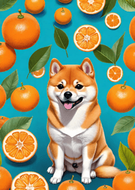 Smiling Shiba Inu fMzK9