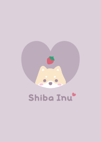 Shiba Inu2 Strawberry - PurplePink