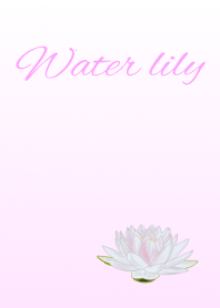 Flower series Water lily