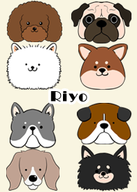 Riyo Scandinavian dog style