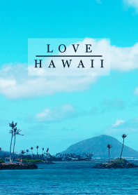 I LOVE HAWAII - aloha 2