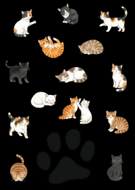 Cute cat illustrations._black1