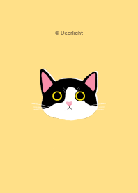 Cat May! - Hand Drawn_V.04