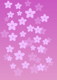 sakura theme pink