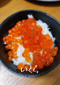 碎鮭魚蛋