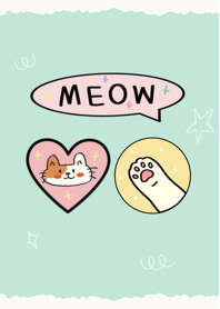 Cutie Little Cat