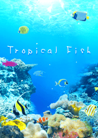- The Sea of Tropical Fish -
