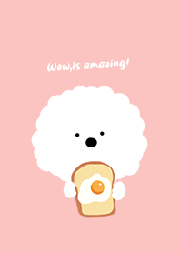 ビションフリーゼ 4