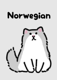 Cute Norwegian Forest Cat Theme