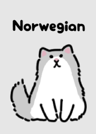 ふさふさノルウェージャン