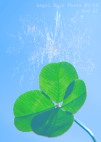 Angel Hair Photo #2-16Not AI