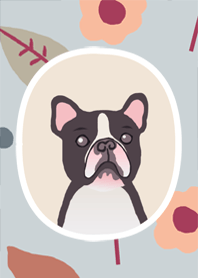 bulldog with flowers