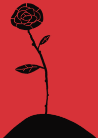 Black rose red