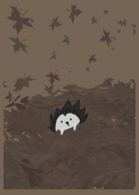 hedgehog- clear Autumn sky kisoku