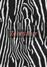 Zebra Fur 26