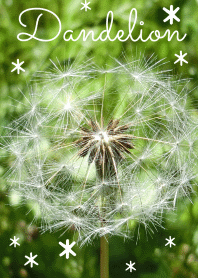 Dandelion fluff theme!