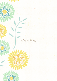 Two-color gerbera left15Japan